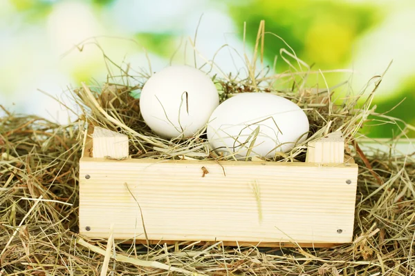 Белые яйца в деревянной коробке на сене на зеленом фоне крупным планом — стоковое фото