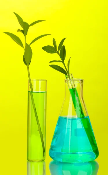 Test-tubes with a colorful solution and plant on yellow background close-up — Stock Photo, Image