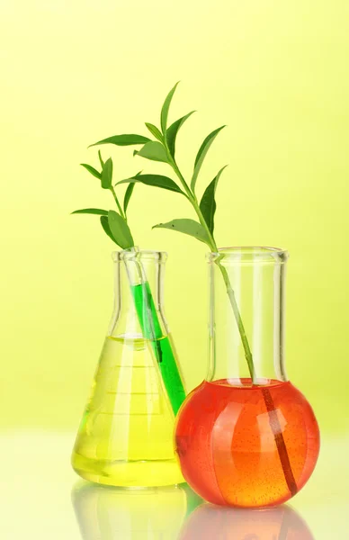 Test-tubes with a colorful solution and plant on yellow background close-up — Stock Photo, Image