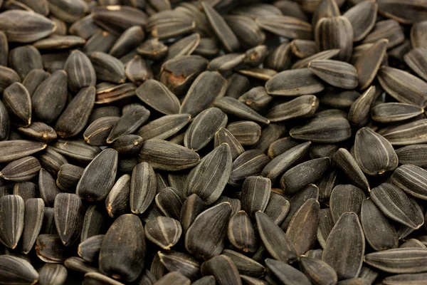 Sunflower seeds background — Stock Photo, Image
