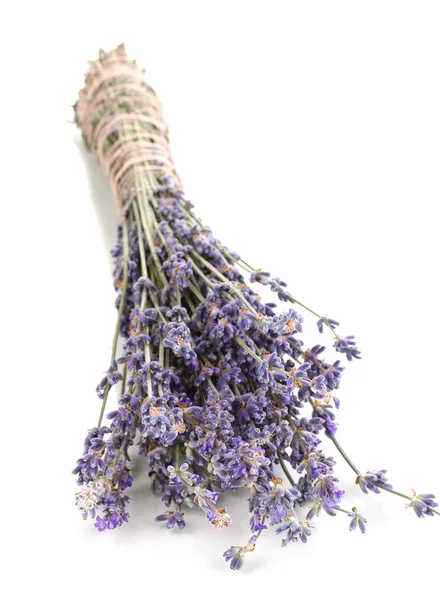 Lavender flowers isolated on white — Stock Photo, Image