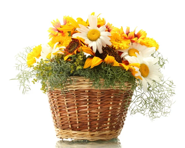 Красивый букет ярких полевых цветов в корзине, изолированные на белом — стоковое фото
