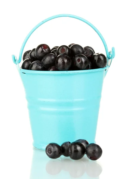 Mirtilos maduros em balde azul isolado em branco — Fotografia de Stock