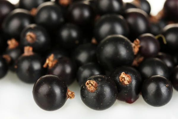 Fresh black currant close-up — Stock Photo, Image