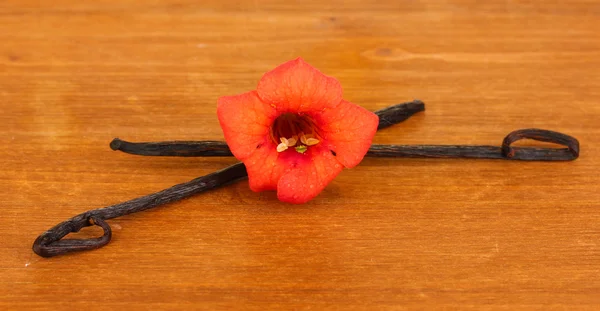 Ванильные стручки с цветами на деревянном фоне — стоковое фото