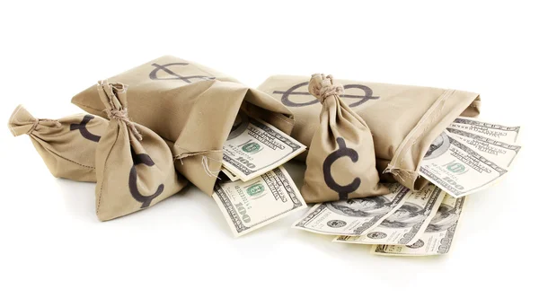 Τσάντες με χρήματα που απομονώνονται σε λευκό — Φωτογραφία Αρχείου