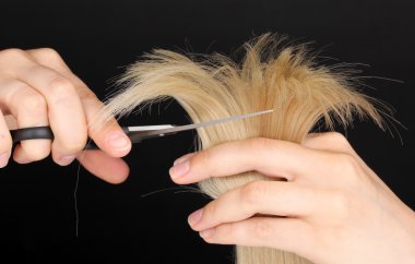 Shiny blond hair in hairdresser's hands isolated on black clipart