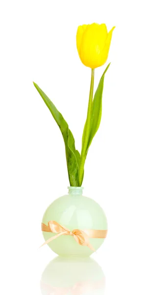 Schöne Tulpe in der Vase isoliert auf weiß — Stockfoto