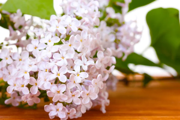 Branch of pink lilac on wooden background close-up — Stock Photo, Image