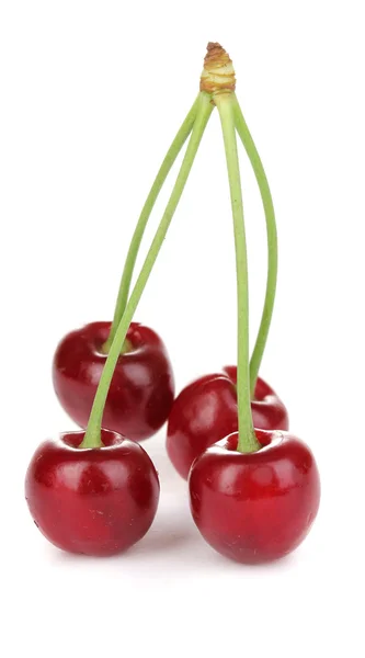 Bagas de cereja maduras isoladas em branco — Fotografia de Stock