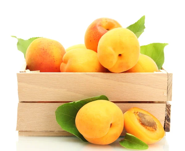 Ripe apricots with green leaves in wooden box isolated on white — Stock Photo, Image