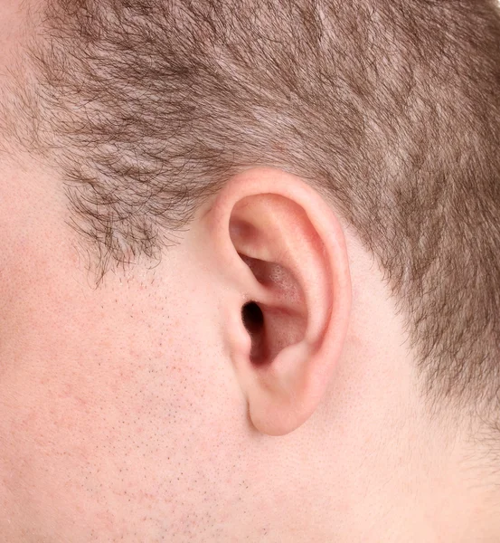 白で隔離される人間の耳のクローズ アップ — ストック写真