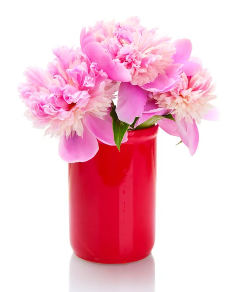 Różowe piwonie kwiaty w wazonie na białym tle — Zdjęcie stockowe