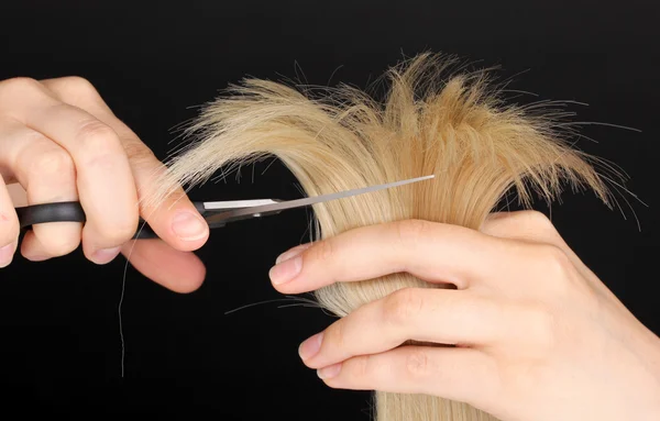Cabelo loiro brilhante em mãos de cabeleireiro isolado em preto — Fotografia de Stock