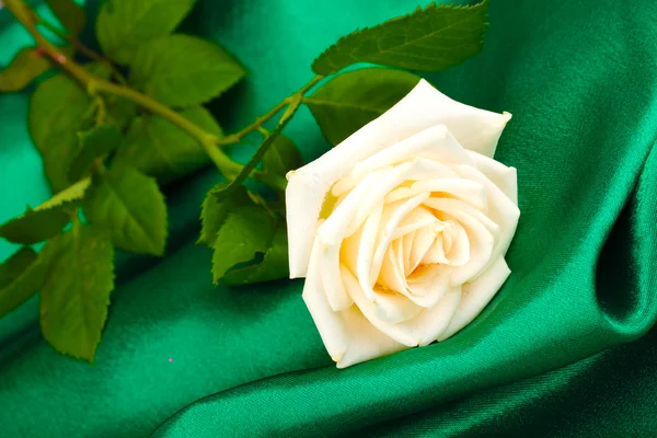 Vacker ros på grön duk Stockbild
