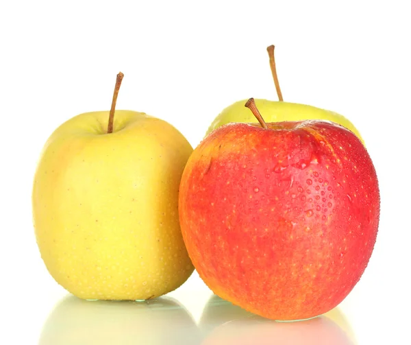 Frische Äpfel isoliert auf weiß — Stockfoto