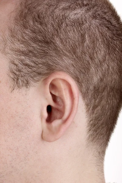 Людське вухо крупним планом ізольовано на білому — стокове фото