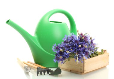 sulama olabilir, araçları ve üzerinde beyaz izole çiçekler