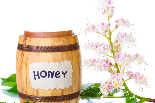 Um barril de mel e castanhas flores no fundo branco close-up — Fotografia de Stock