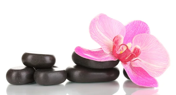 Wellness kameny s orchidejí květem izolované na bílém — Stock fotografie
