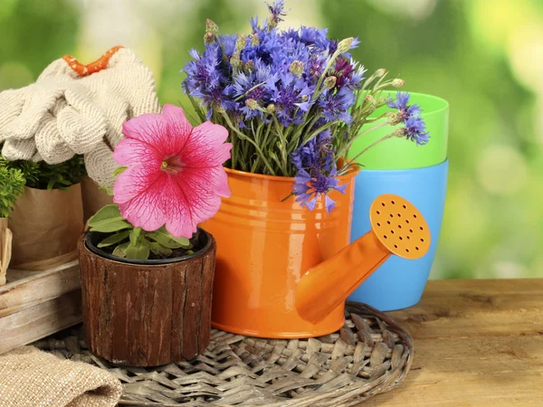 Полив банки и цветы на деревянном столе на зеленом фоне — стоковое фото