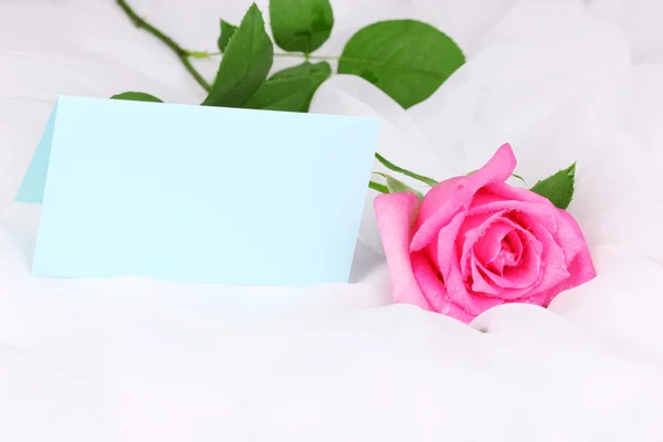 Hermosa rosa sobre tela blanca —  Fotos de Stock