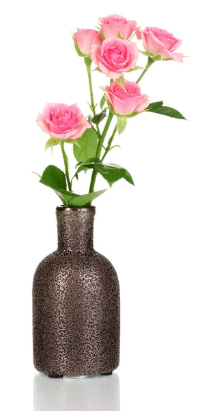 Rózsaszín rózsa vázában elszigetelt fehér — Stock Fotó