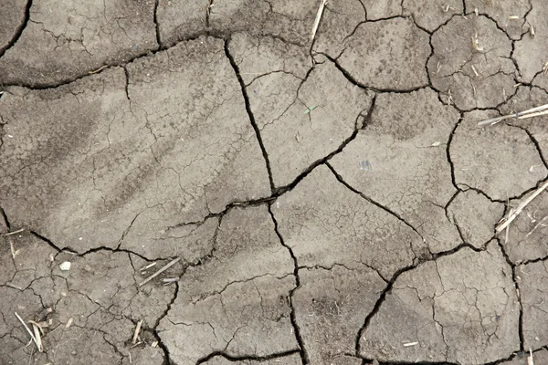 stock image Cracked field soil