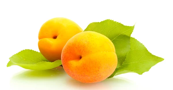 Mogen söt aprikoser med gröna blad isolerad på vit — Stockfoto