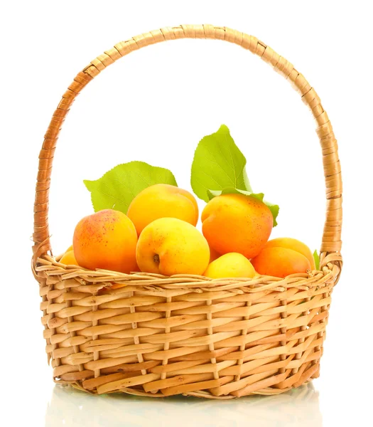 Ripe apricots with green leaves in basket isolated on white — Stock Photo, Image