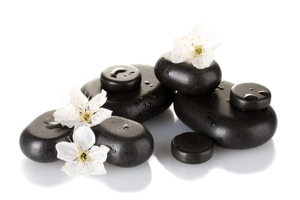 Czarny spa kamienie kwiaty i płatki na białym tle na biały z bliska — Zdjęcie stockowe