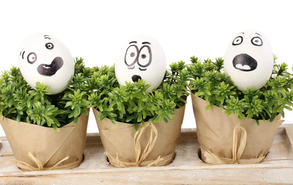 Fehér tojás, a zöld bokrok vicces arcok — Stock Fotó