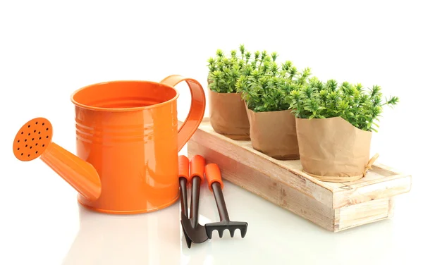 Rega lata, ferramentas e plantas em vasos isolados em branco — Fotografia de Stock