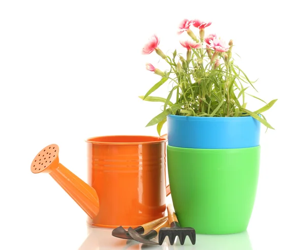 Regar lata, ferramentas e planta em vaso isolado em branco — Fotografia de Stock