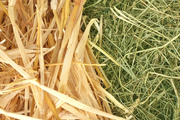 黄金の干し草とわらテクスチャ背景のクローズ アップ — ストック写真