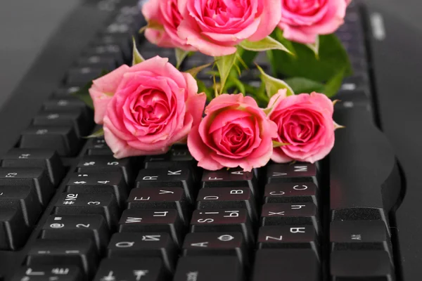 Pink roses on keyboard close-up internet communication — Stockfoto