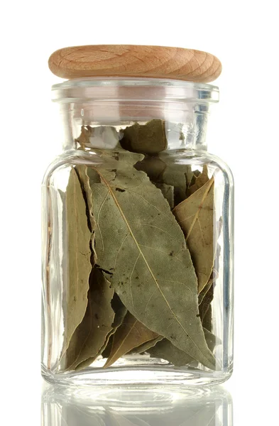 Tarro con hojas de laurel aisladas en blanco — Foto de Stock