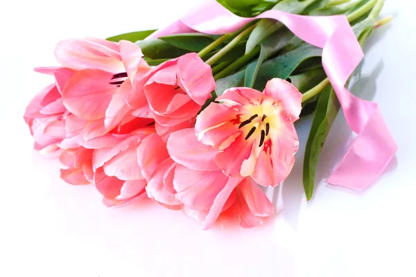 Красиві рожеві тюльпани ізольовані на білому — стокове фото