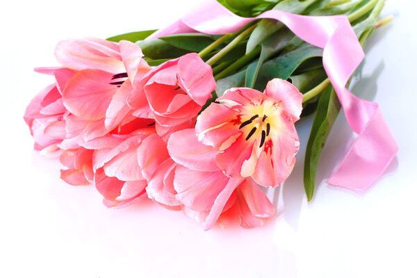 Beautiful pink tulips isolated on white
