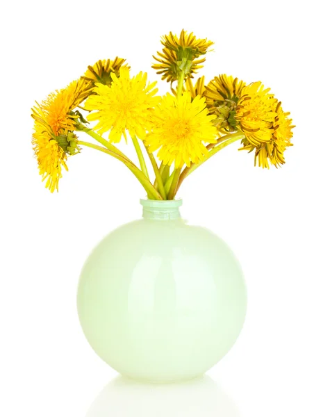 蒲公英花在花瓶上白色隔离 — 图库照片