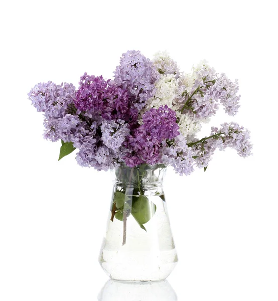 Hermosas flores lila en frasco de vidrio aislado en blanco —  Fotos de Stock