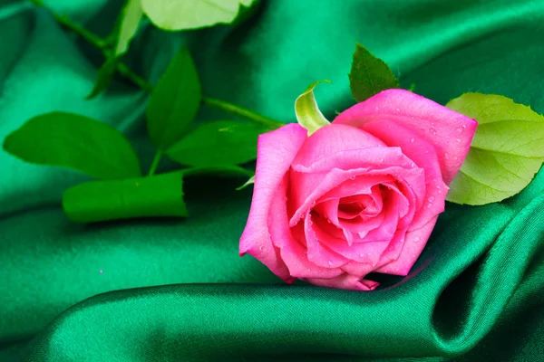 Vacker ros på grön duk — Stockfoto