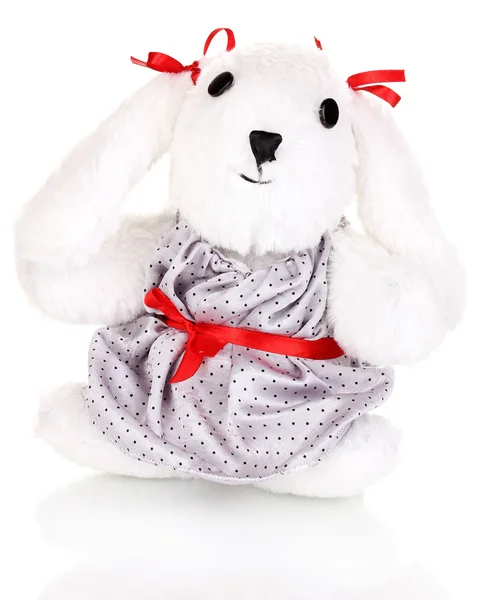 孤立在白色的玩具兔子 — 图库照片