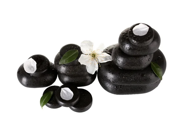 Pedras de spa pretas com flores, folhas e pétalas isoladas em close-up branco — Fotografia de Stock
