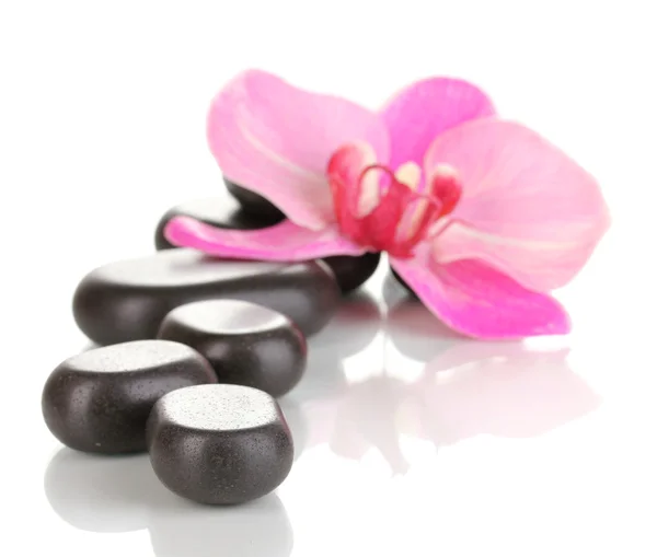 Wellness kameny s orchidejí květem izolované na bílém — Stock fotografie