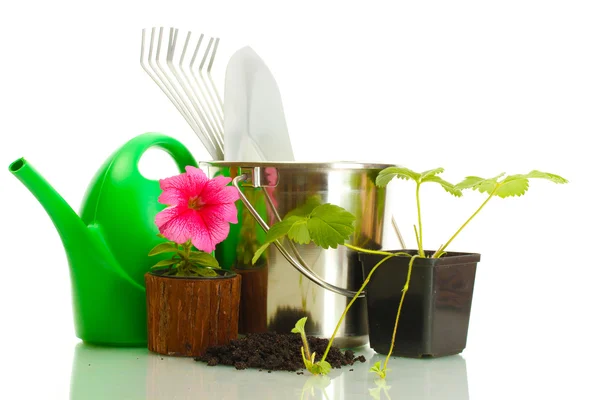 Regadera, cubo, herramientas y plantas en maceta aislada en blanco — Foto de Stock