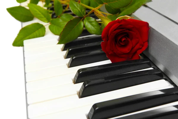 背景的合成器键盘与玫瑰 — 图库照片