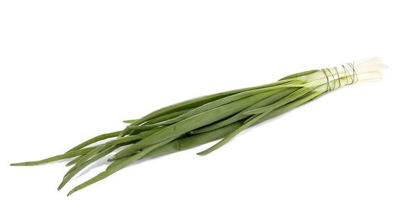 Свежий зеленый лук, изолированный на белом — стоковое фото
