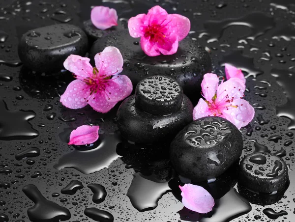Agua flores piedras fotos de stock, imágenes de Agua flores piedras sin  royalties - Página 2 | Depositphotos