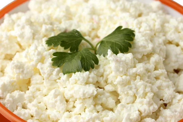 Parsley on the cottage cheese in orange bowl close-up — Stock Photo, Image